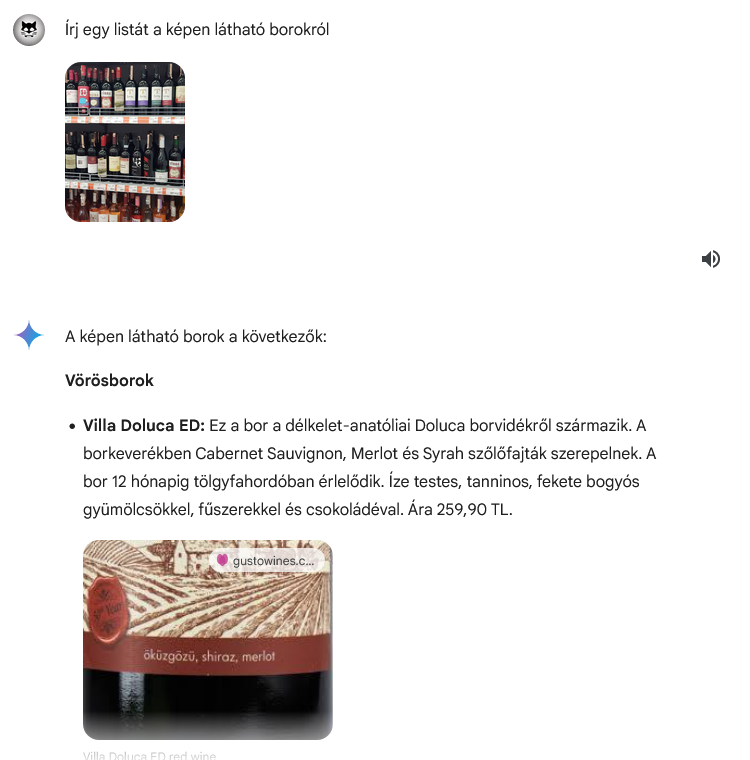 A Google Gemini bor listája